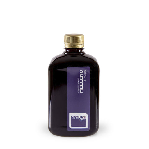 Blueberry syrup (plastic bottle) 0.5l